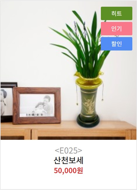 양산 난 · 동양란 세트